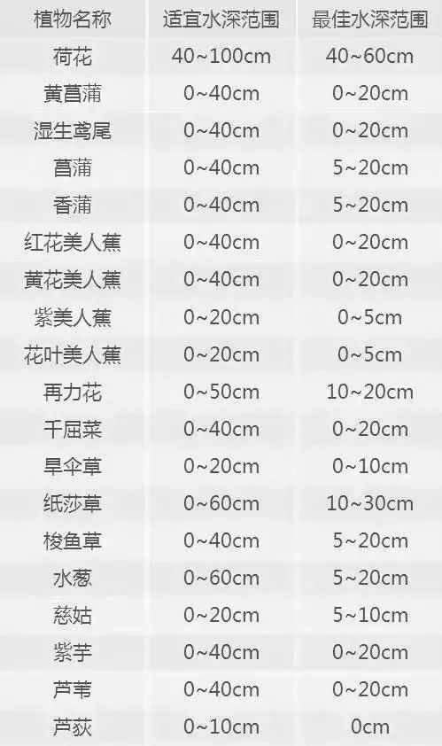 640.webp (10).jpg