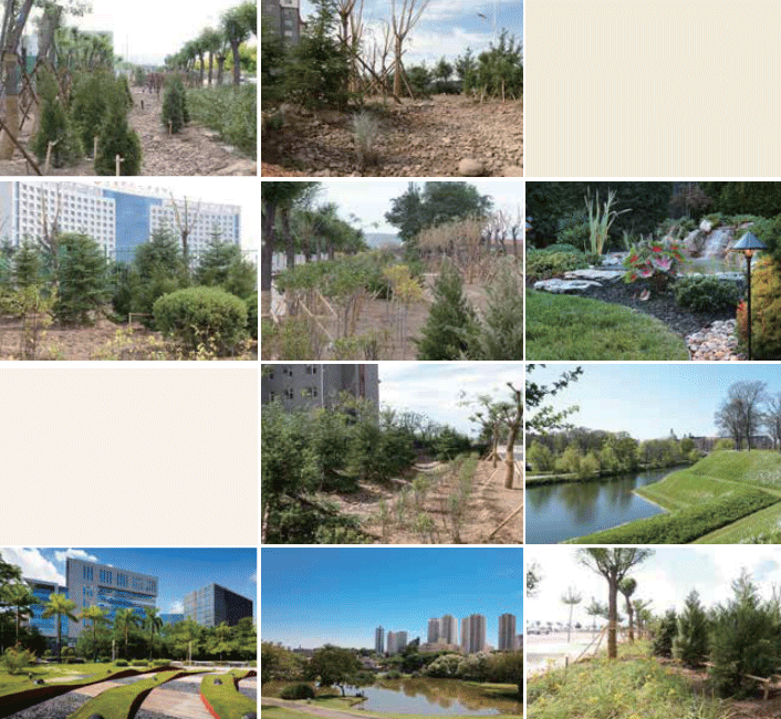北京都润生态环境工程有限公司-海绵城市建设-固原市西南新区绿化与海绵城市工程