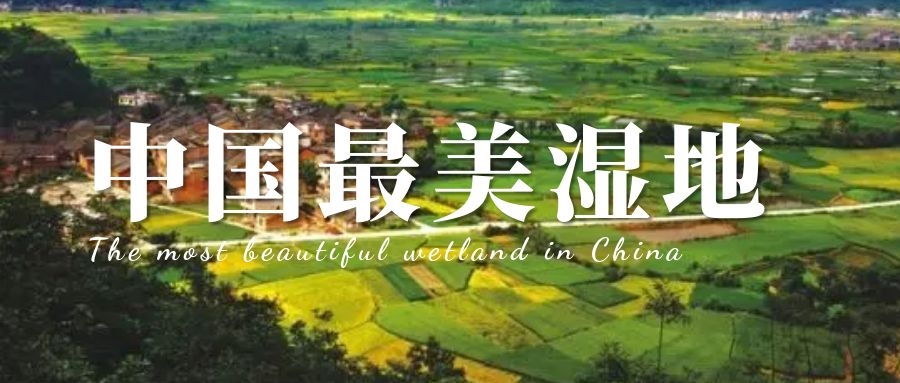 奇闻科普 | 中国最美湿地，你的家乡上榜了吗？